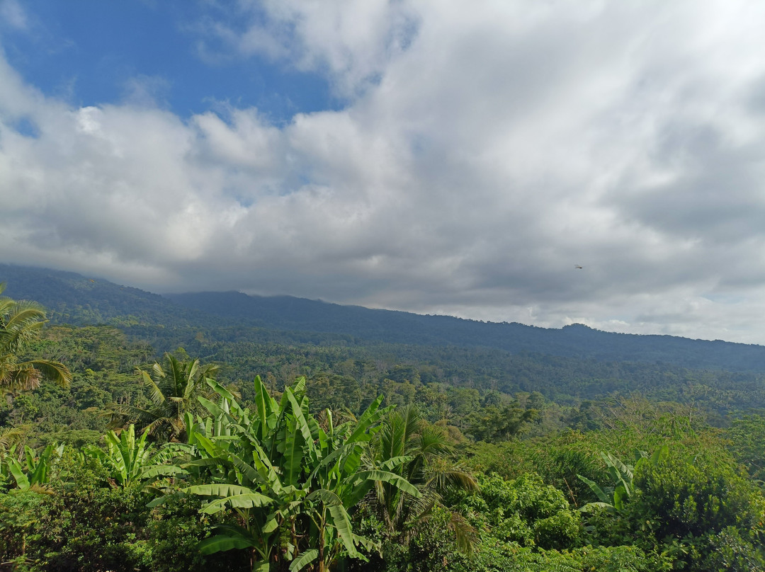 Horizon Senaru主图