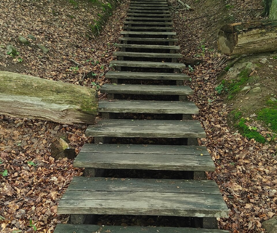 Almindingen Forest-Akirkeby必去景点