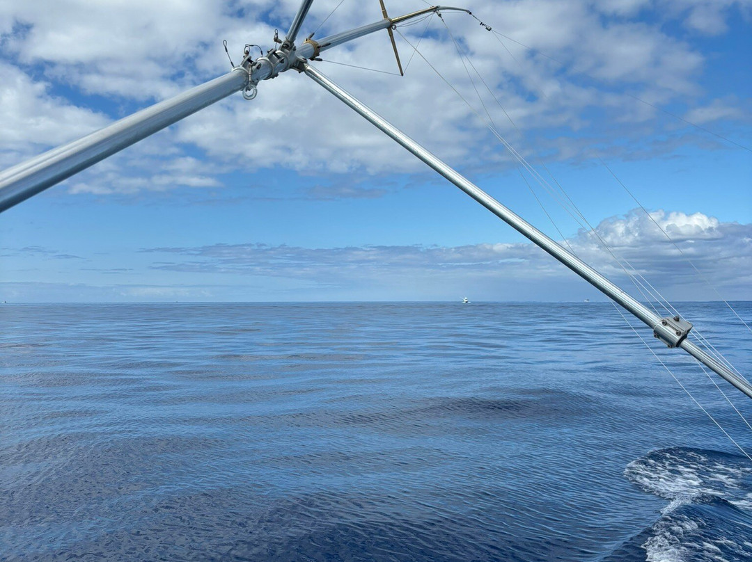 Madeira Marlin Charters-卡列塔必去景点