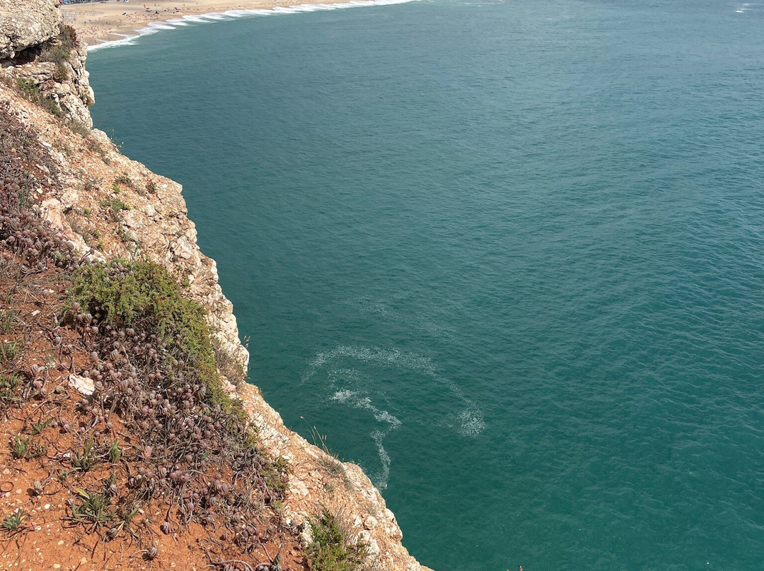 Estatua Homenagem aos surfistas e a Nossa Senhora da Nazare.景点图片