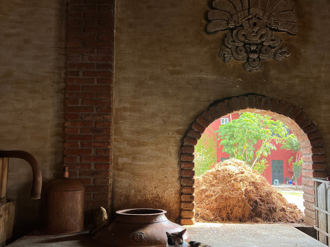 Oaxacool tours & experiences-瓦哈卡必去景点