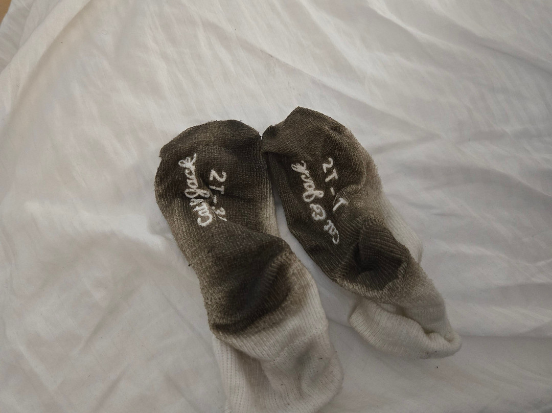 Red Roof Inn Chicago - Alsip主图