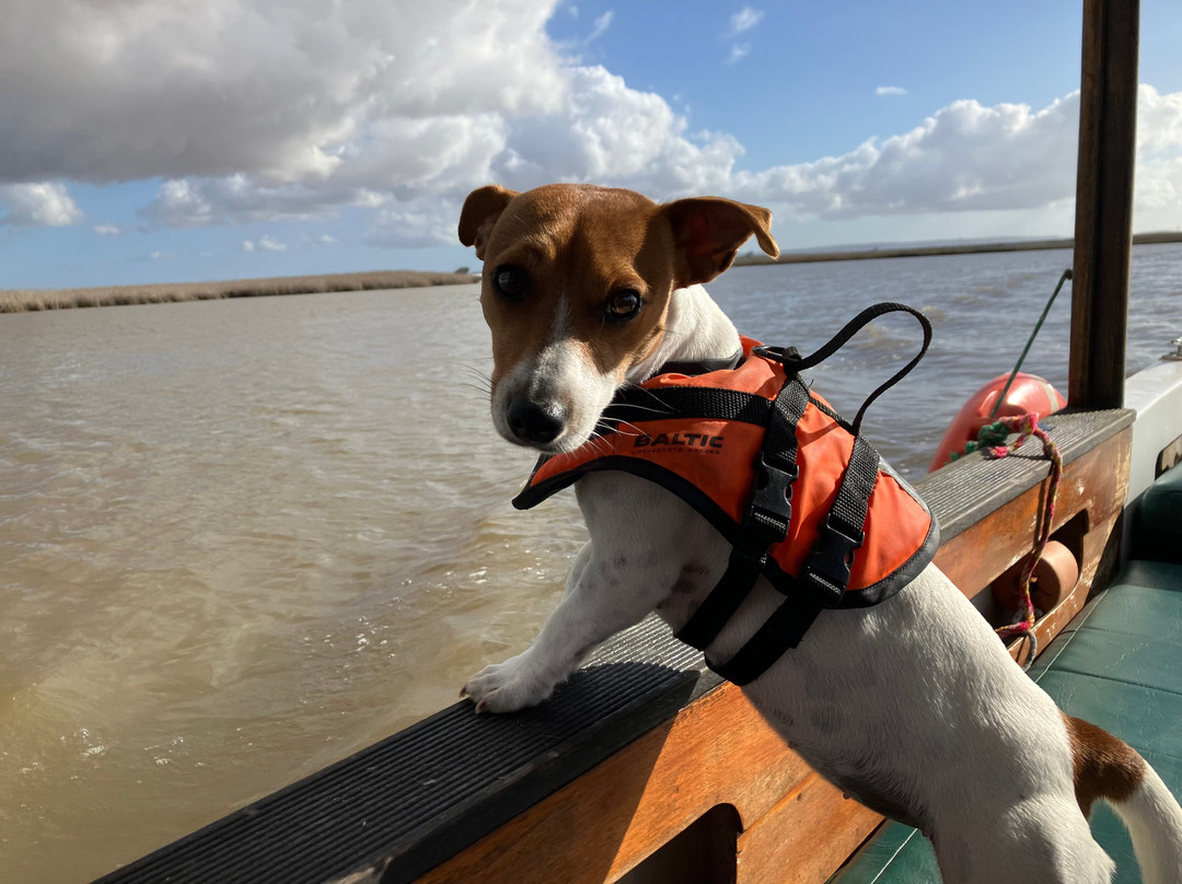 Cracklin' Rosie River Tours-Velddrif必去景点