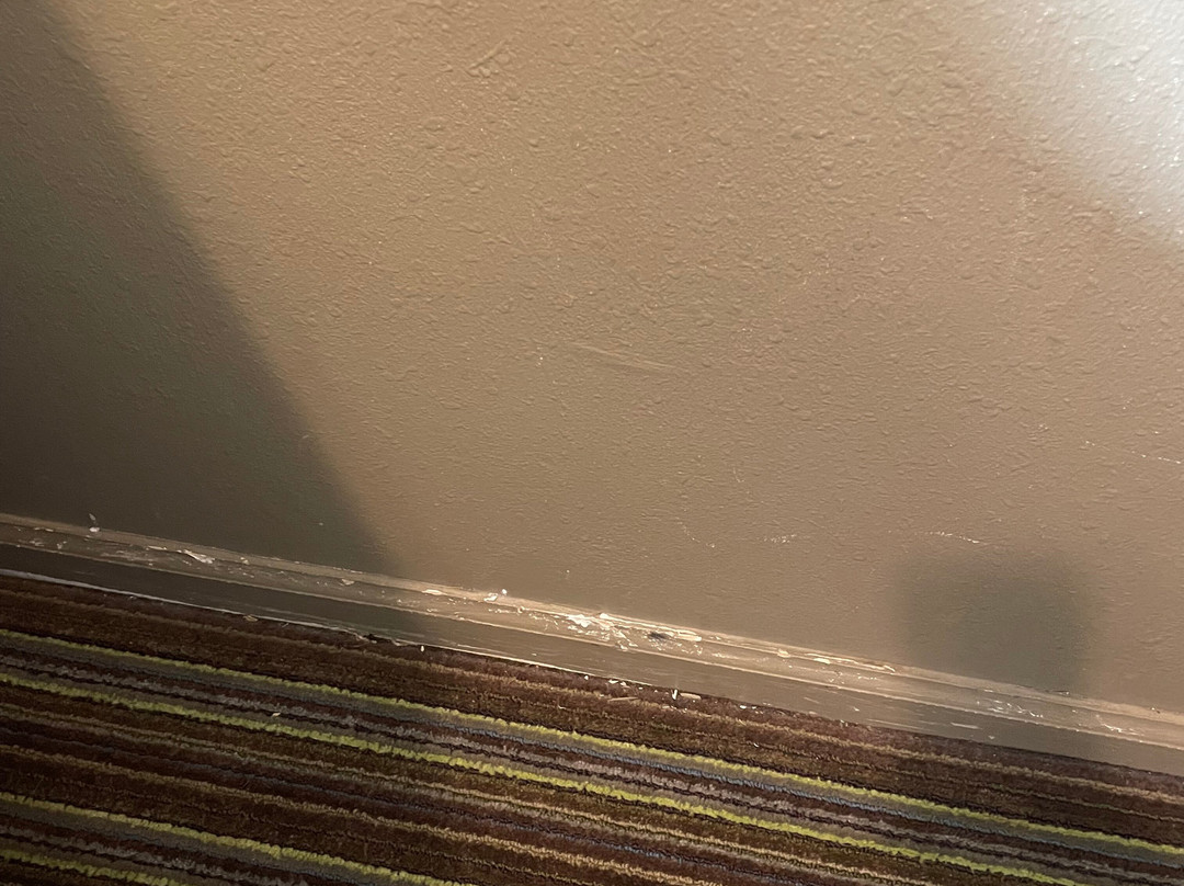 Super 8 by Wyndham Chattanooga Ooltewah主图