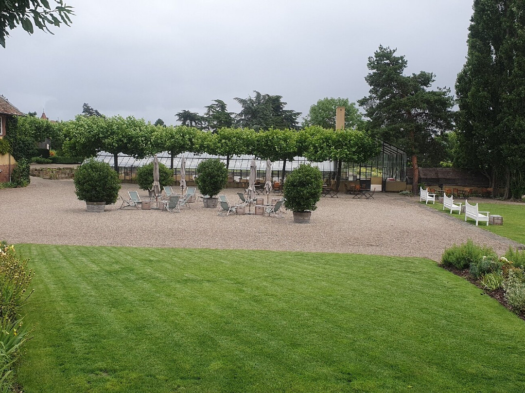 Weingut Dr. Buerklin-Wolf景点图片