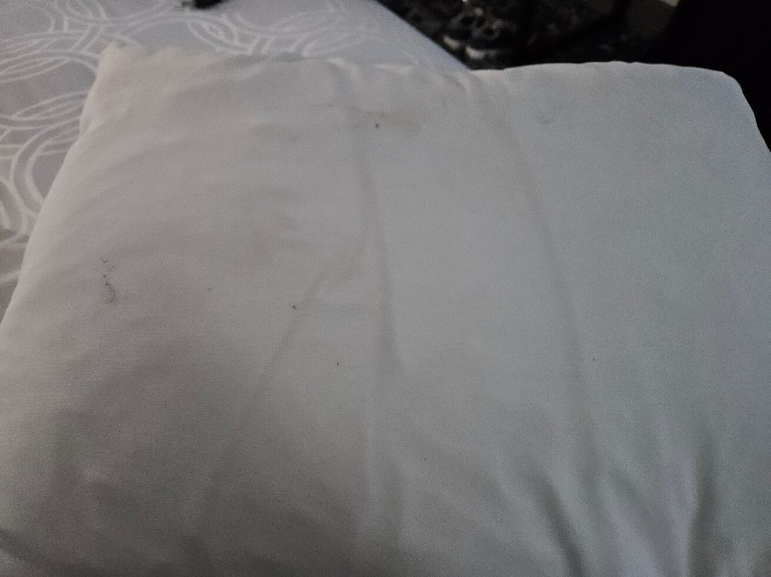 Best Western Canton Inn主图