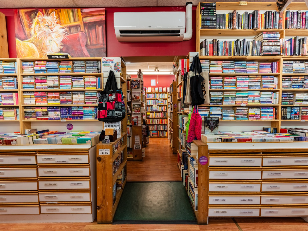 The Book Man景点图片