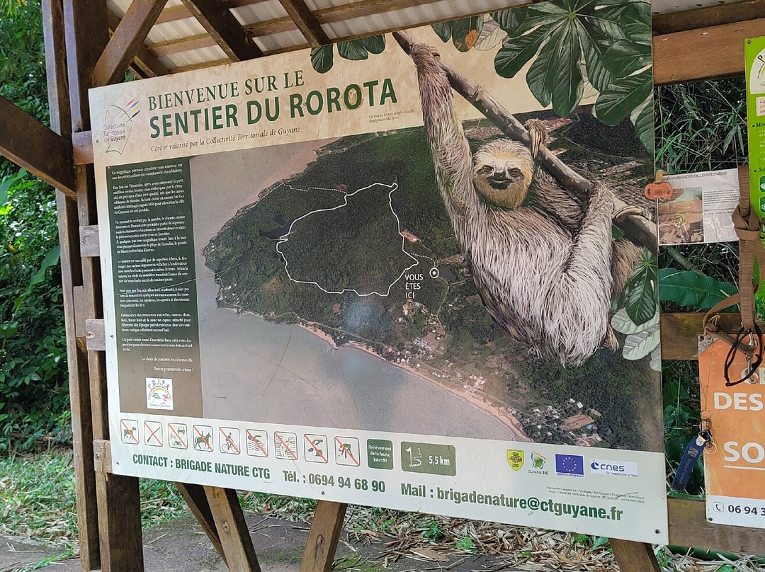 Sentier du Rorota-Remire-Montjoly必去景点