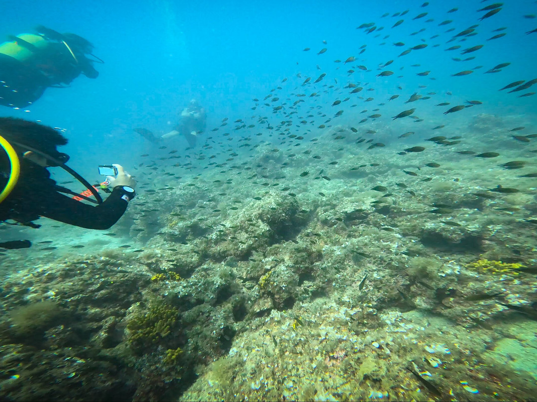 Hippocampus Diving Center-普拉必去景点