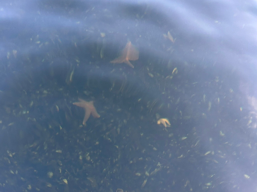 VisionKayak-斯基沃必去景点