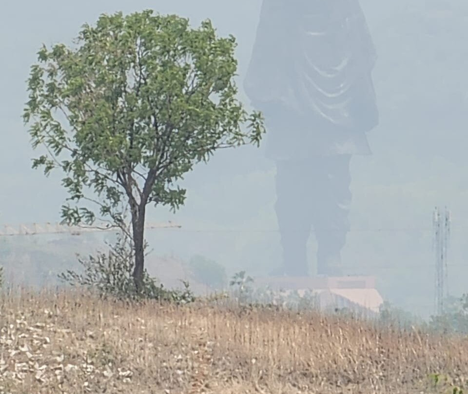Fortune Statue Of Unity, Ekta Nagar主图