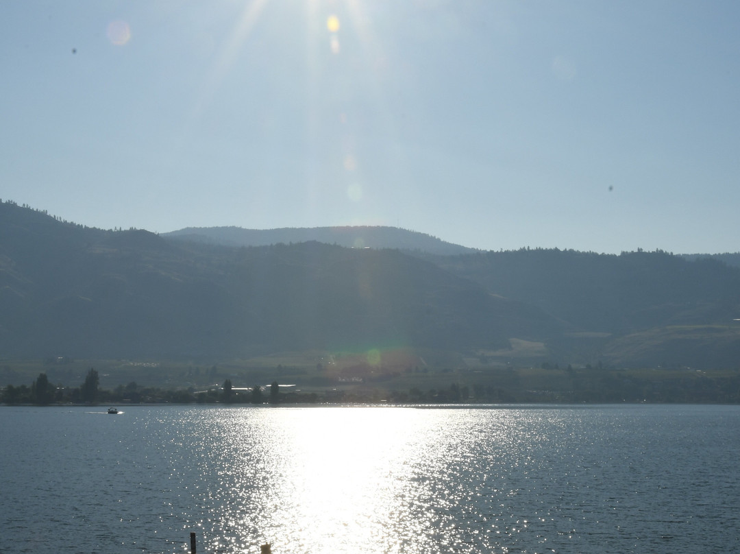 Safari Beach Resort主图