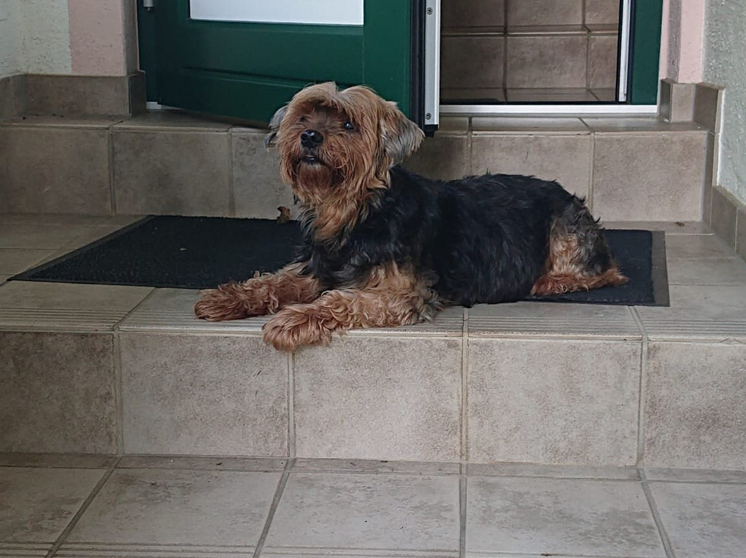 Gasthof Hotel Kirchenwirt主图