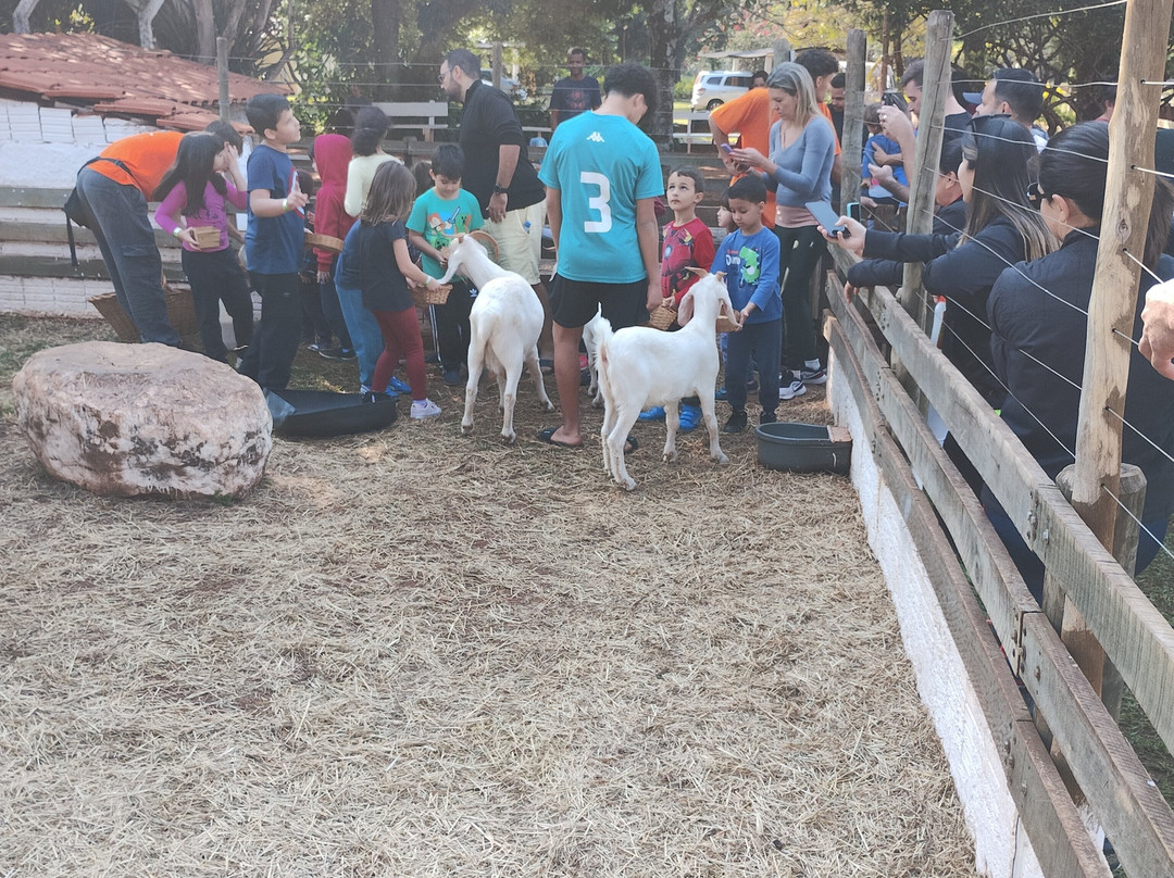 Hotel Fazenda Cliv Sol主图