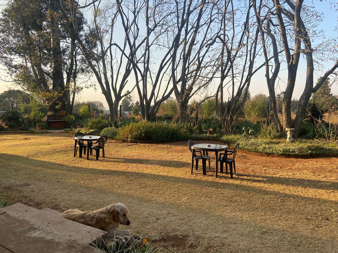 Deo Resta Guest Lodge主图