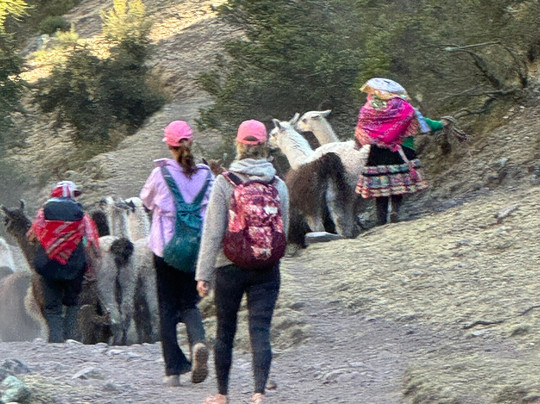 Llama Pack - Day Tours-乌鲁班巴必去景点