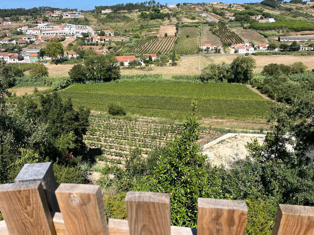 Vinhos Cortém景点图片