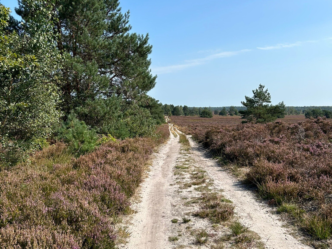 Mountainbiken Op De Veluwe-Emst必去景点