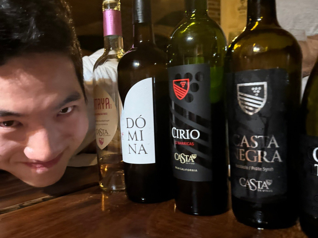 Casta De Vinos景点图片