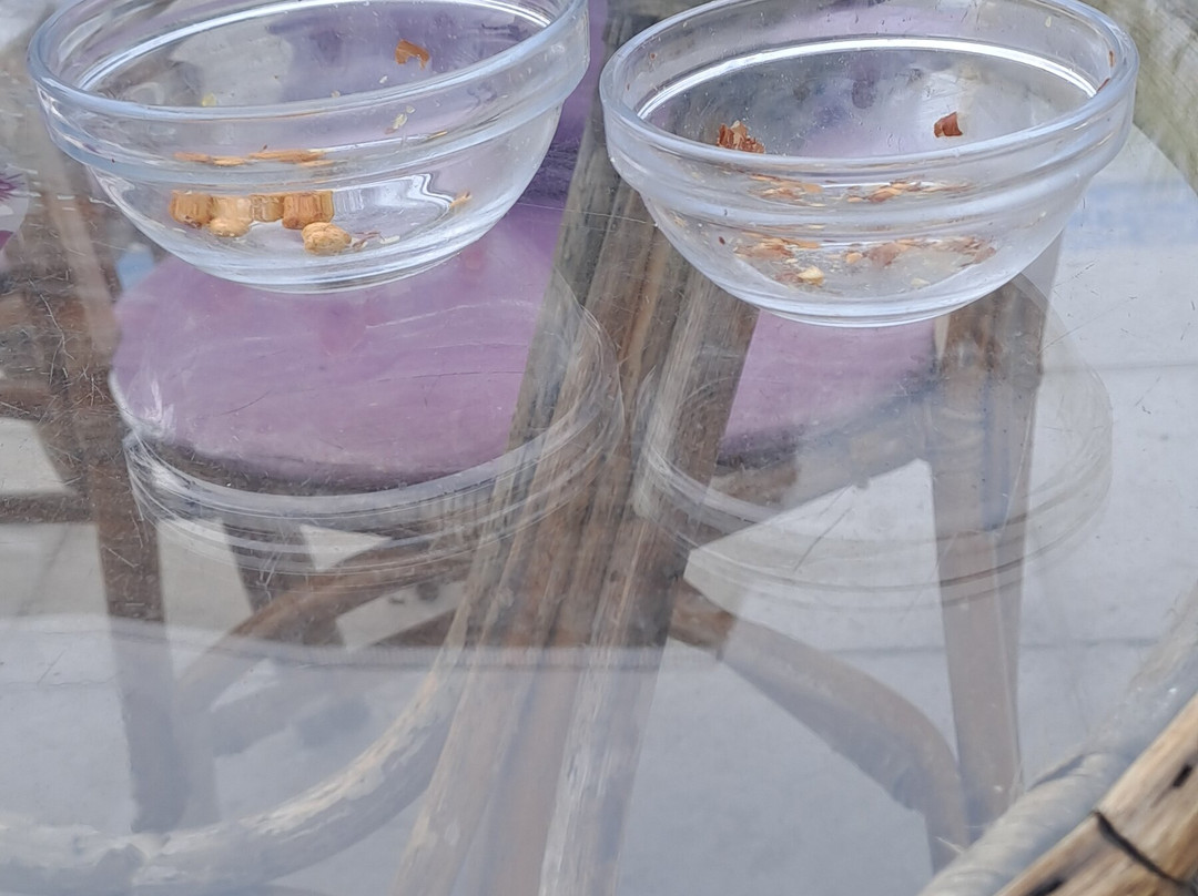 MaiTai Cocktail Bar-Oropesa Del Mar必去景点