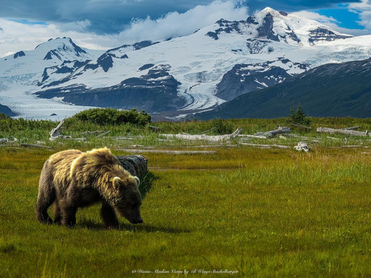 Sea Hawk Air-Kodiak必去景点