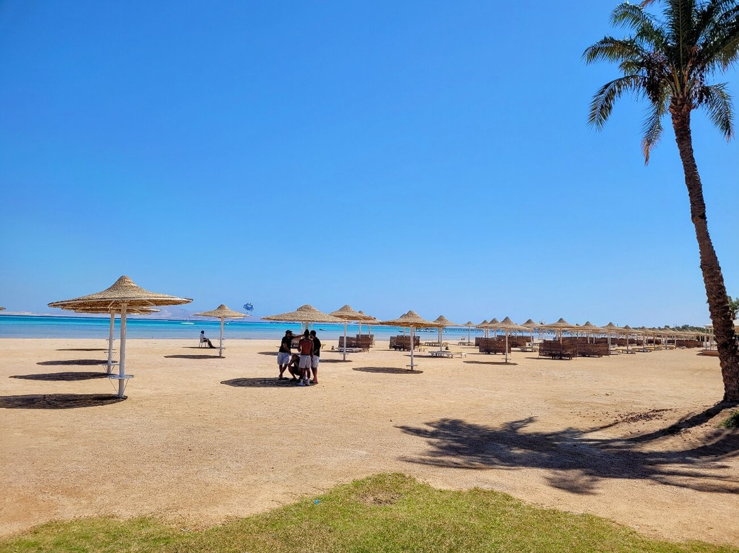 Kite Addicts Sharm-纳布克湾必去景点