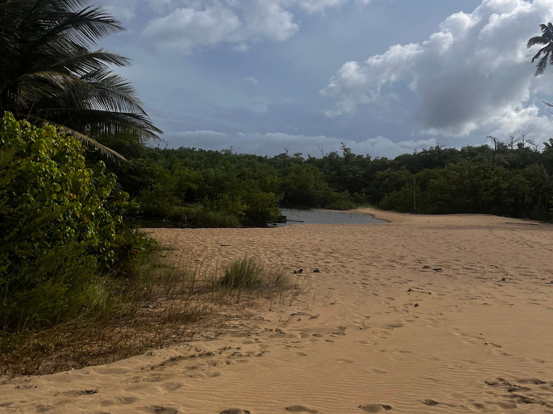 La Poza de las Mujeres-Manati必去景点