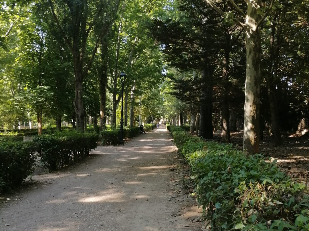 Parque De La Chopera ( Huete)景点图片