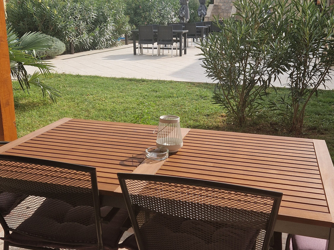 Pansion Skelin主图