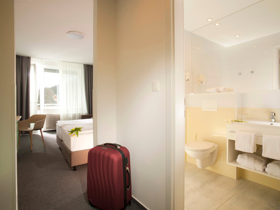 Terme Topolsica - Hotel Vesna主图