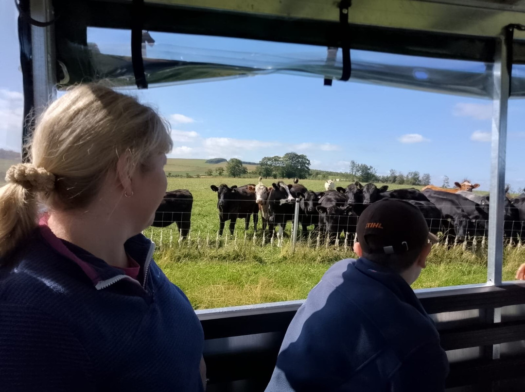 Bairnkine Farm Tours-Jedburgh必去景点