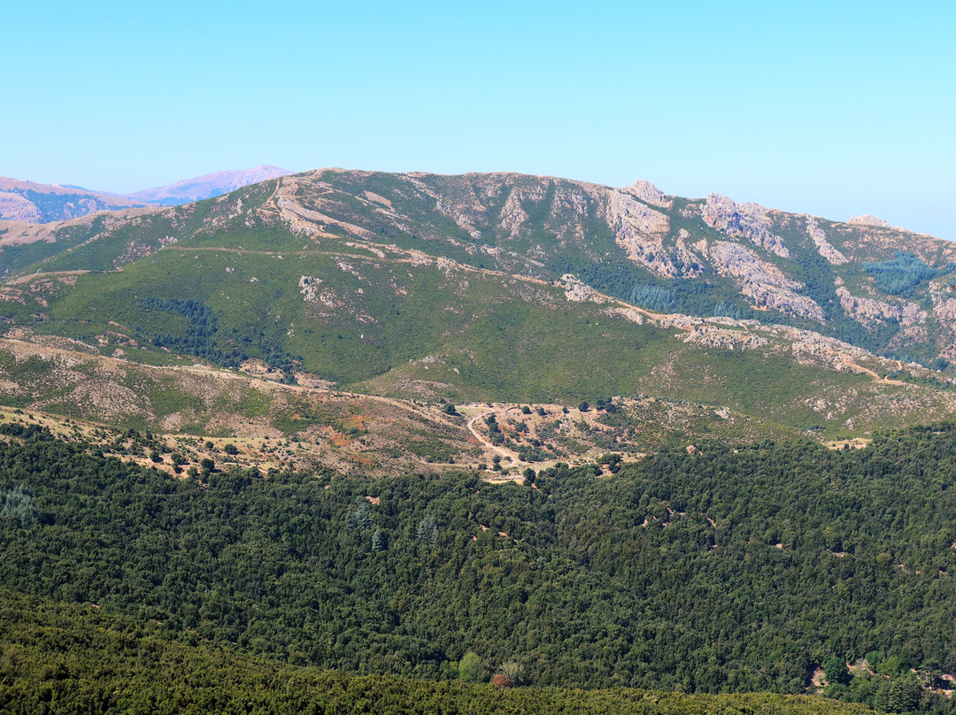 Monte Novo San Giovanni-Orgosolo必去景点