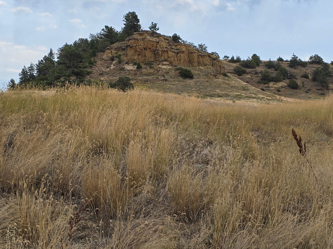 Westwind Motor Inn主图