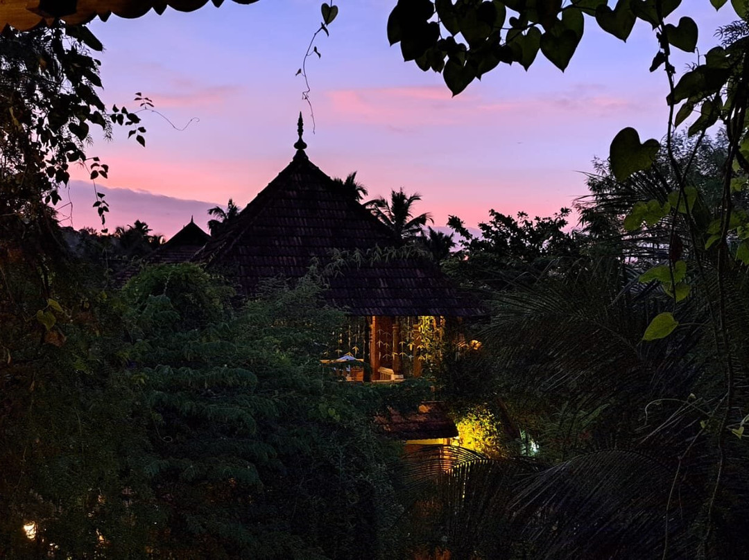 AyurSoma Ayurveda Royal Retreat主图