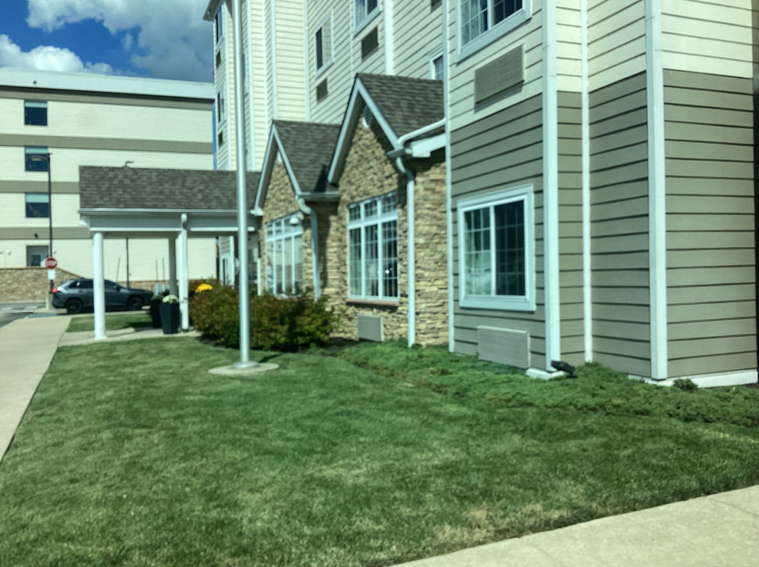 Microtel Inn & Suites by Wyndham Philadelphia Airport Ridley主图