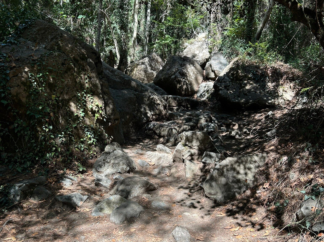 Caledonia Waterfall-帕拉翠斯必去景点