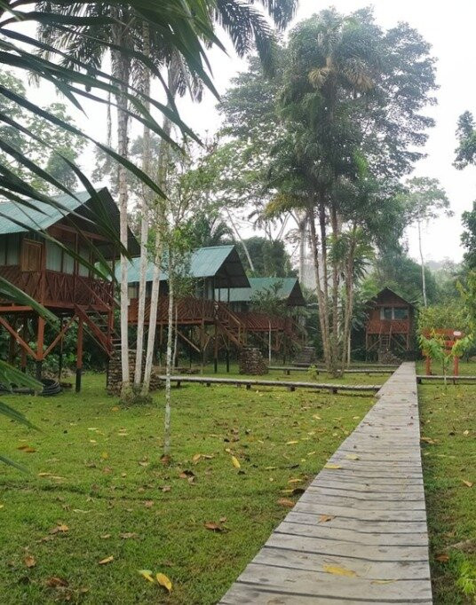 Parque Nacional Del Manu景点图片