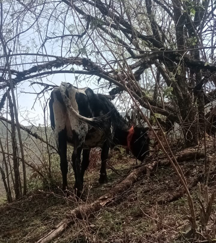 Quebrada de San Lorenzo-圣洛伦索必去景点