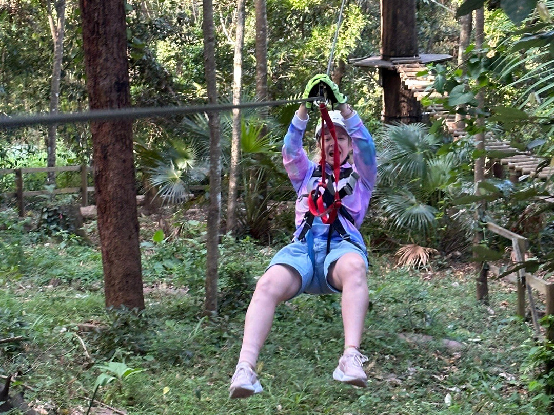 TreeTop Challenge景点图片