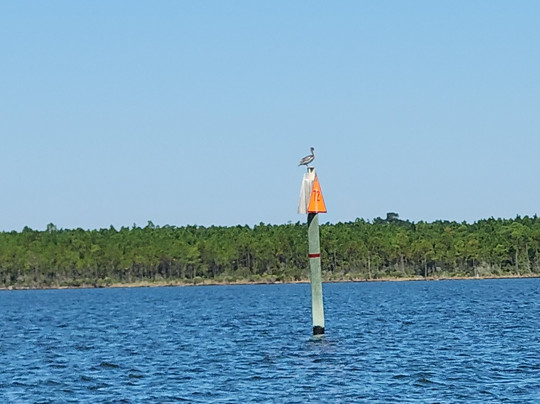 Caribe Cruiser-橙色海湾必去景点