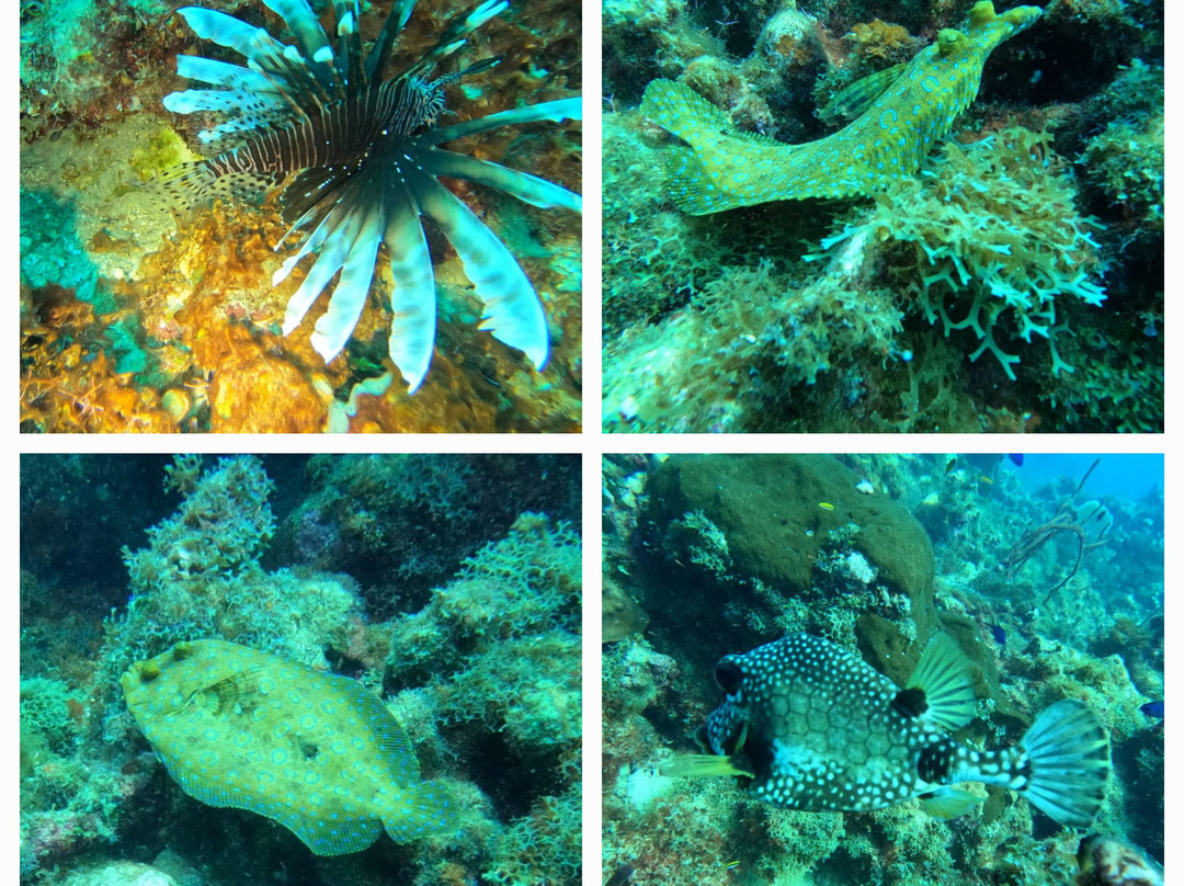 Casa Daniel-Bayahibe必去景点