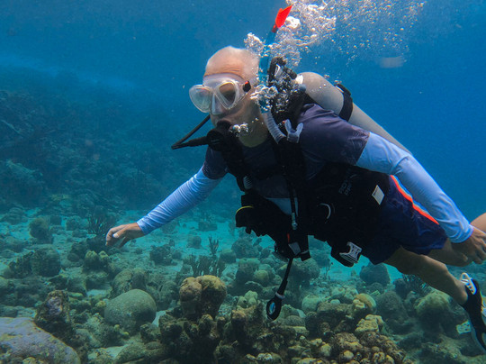 Soul Divers-威廉斯塔德必去景点