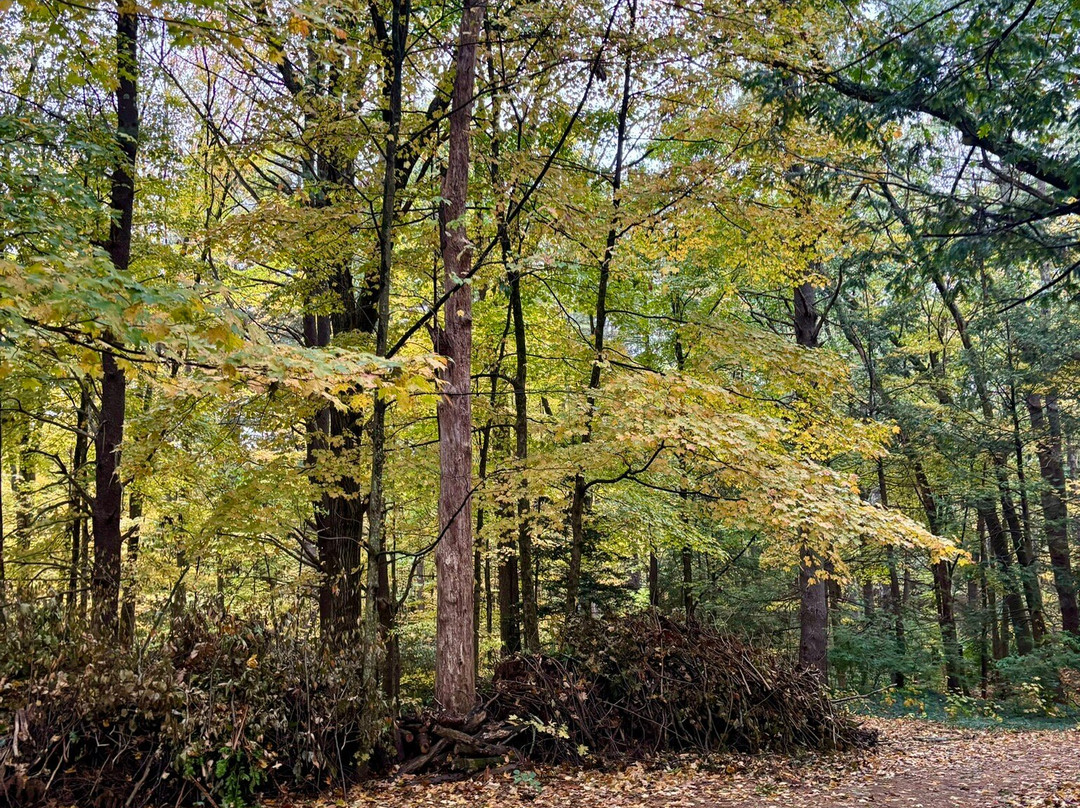 Farandnear Reservation-Shirley必去景点