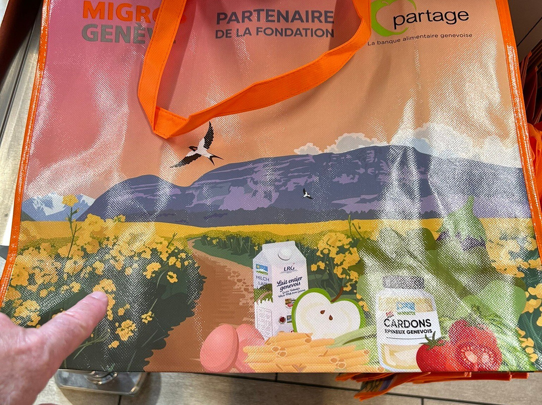 Geneva Cornavin station-日内瓦必去景点