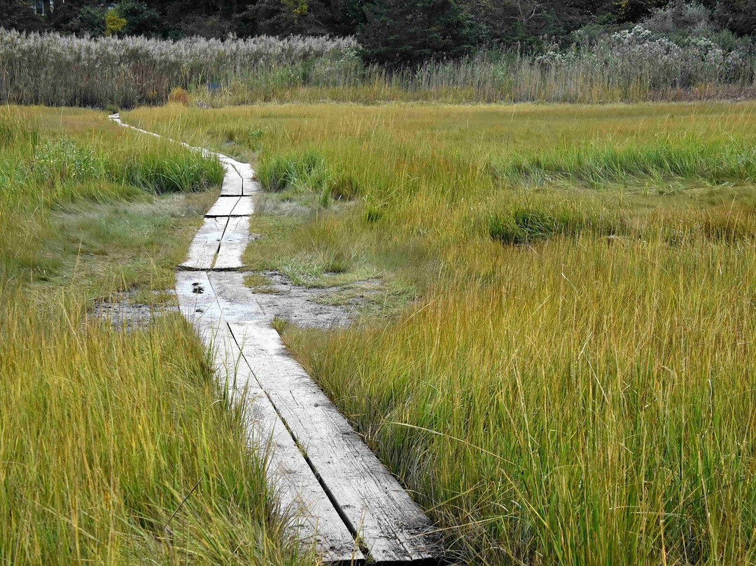 Cape Cod Museum of Natural History景点图片