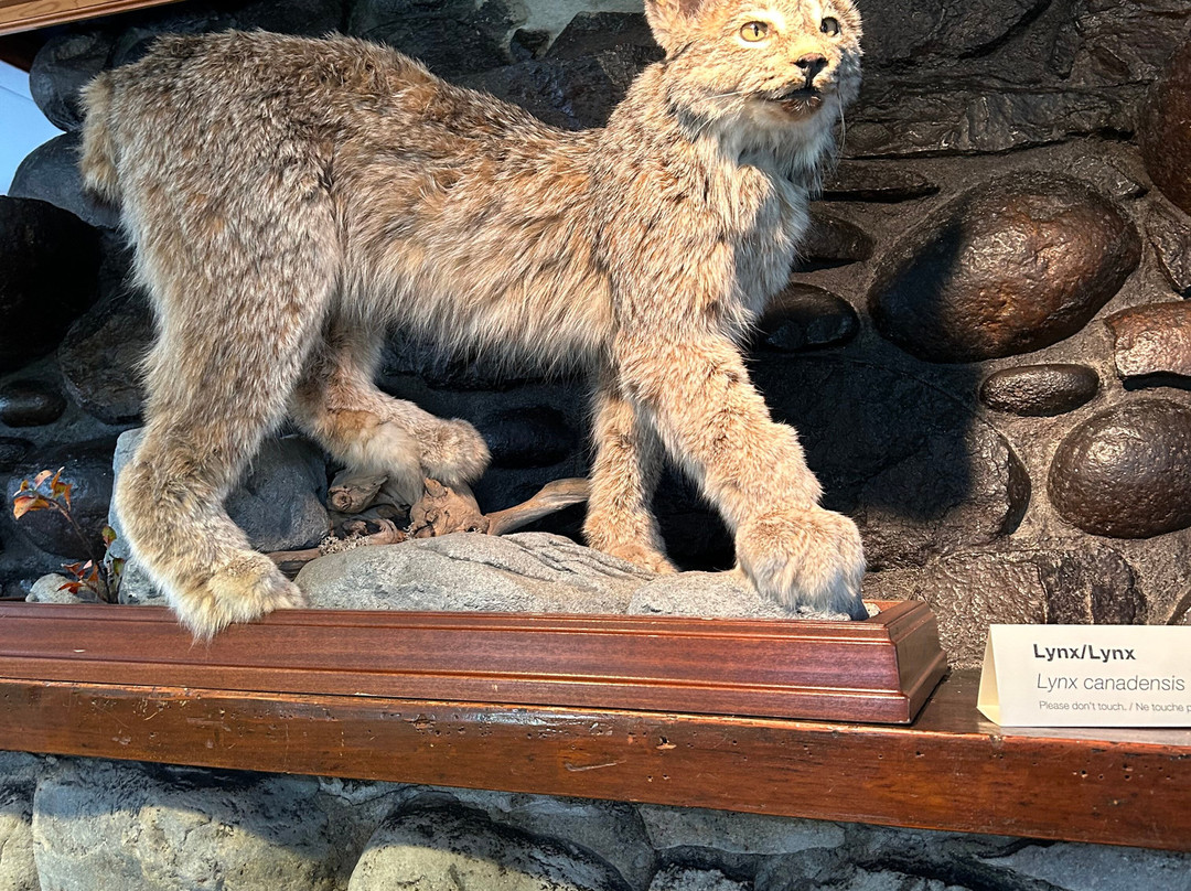 Jasper Information Centre-贾斯珀必去景点