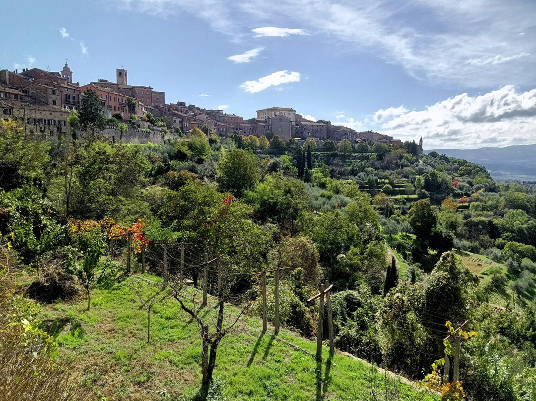 Palazzo della Corgna景点图片