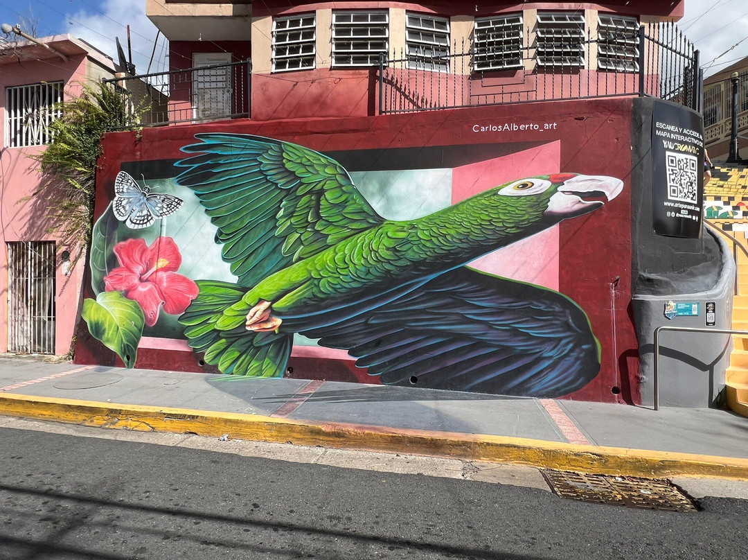 Yaucromatic-Yauco必去景点