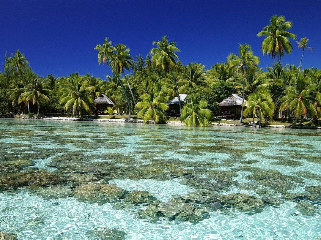 Vahine Private Island主图