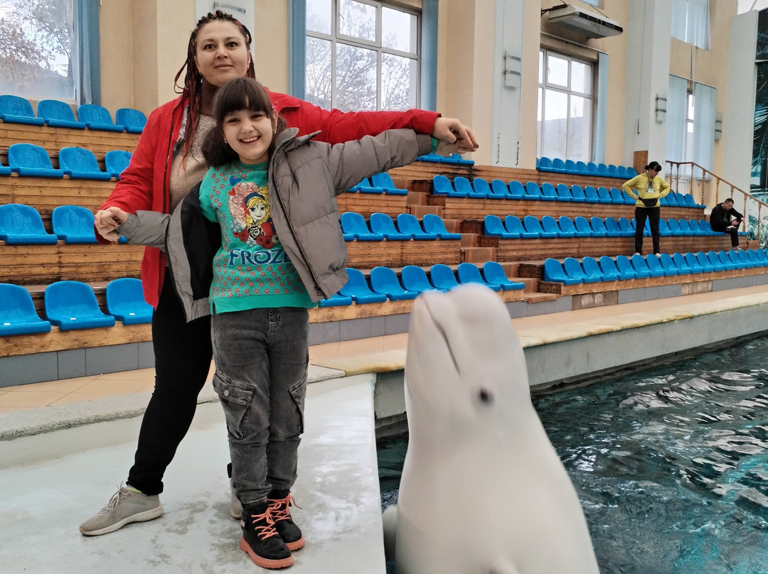 Kislovodsk Dolphinarium景点图片